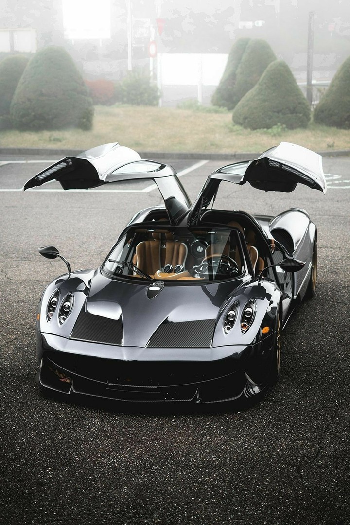 Pagani