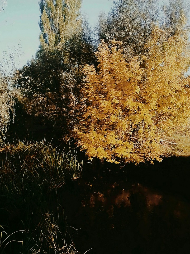 Welcome, Autumn!