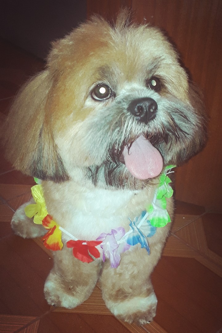 Milo