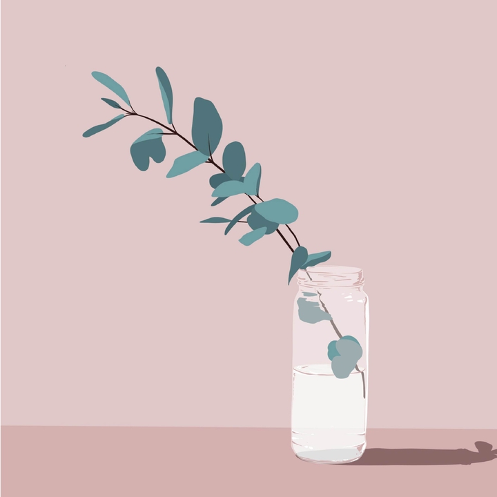 Eucalyptus