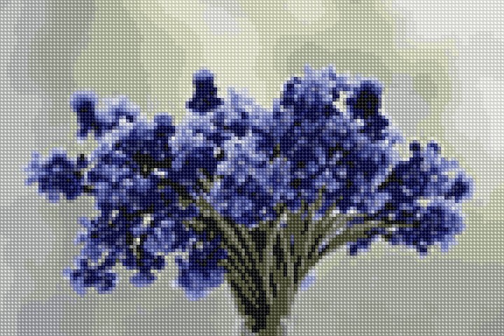 blue flowers