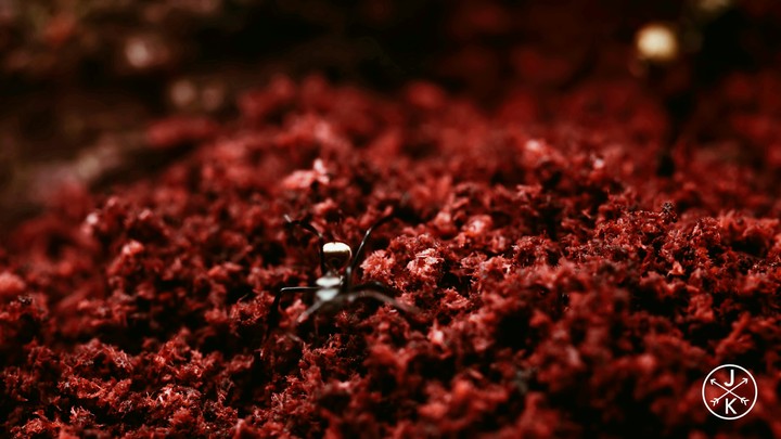 alone