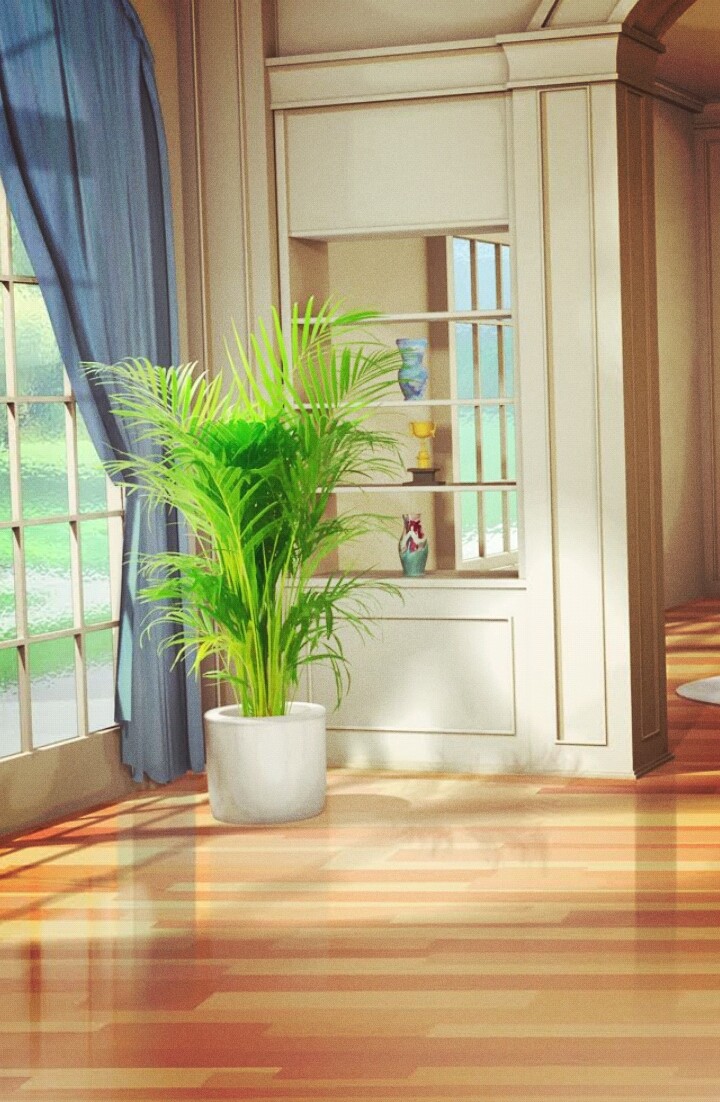 *Plant and Decor*