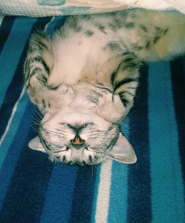 sleep