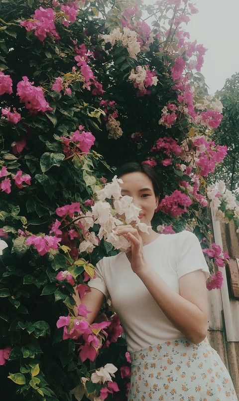 hoa giấy