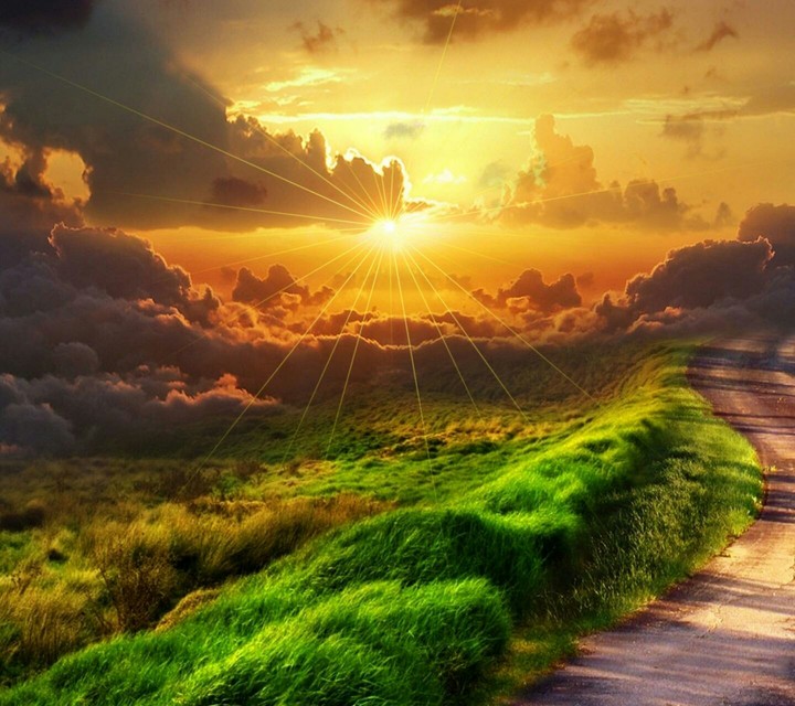Nature