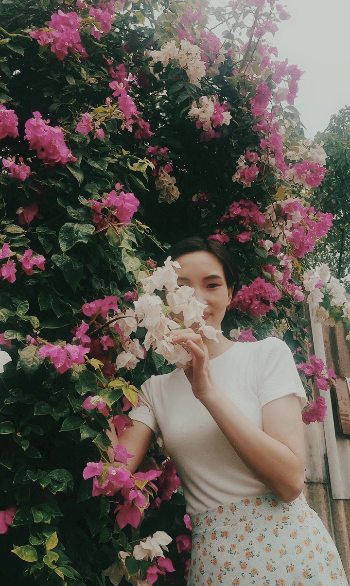 hoa giấy