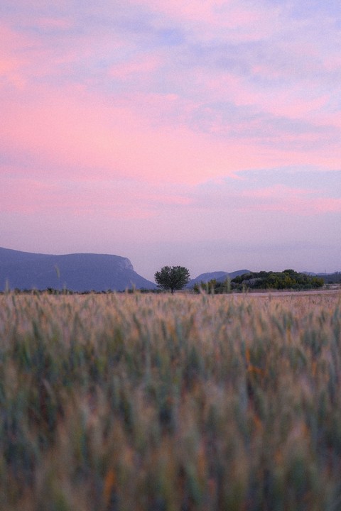 sfondi ecoregion, evening