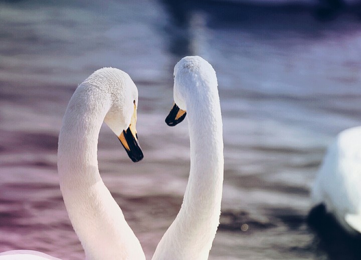 природа