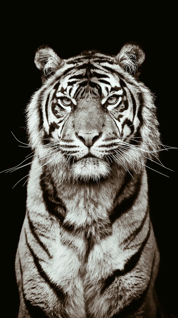 wild boy