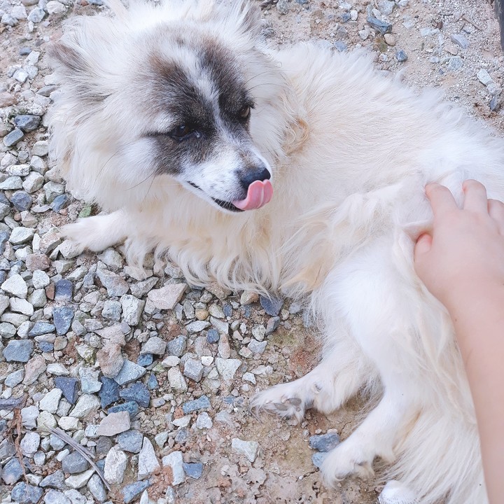 ??