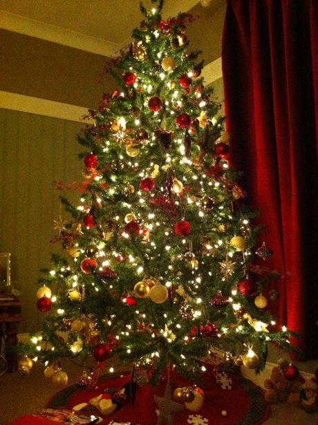 Natal