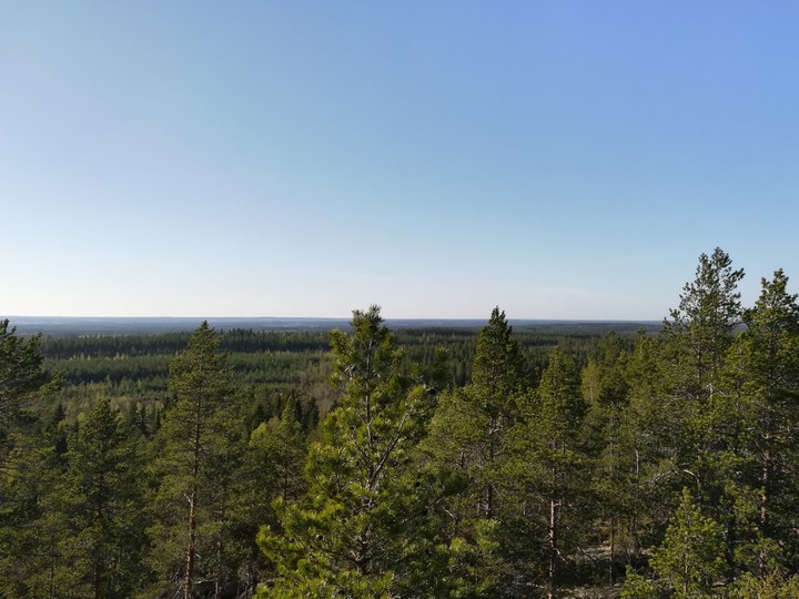 Finland nature