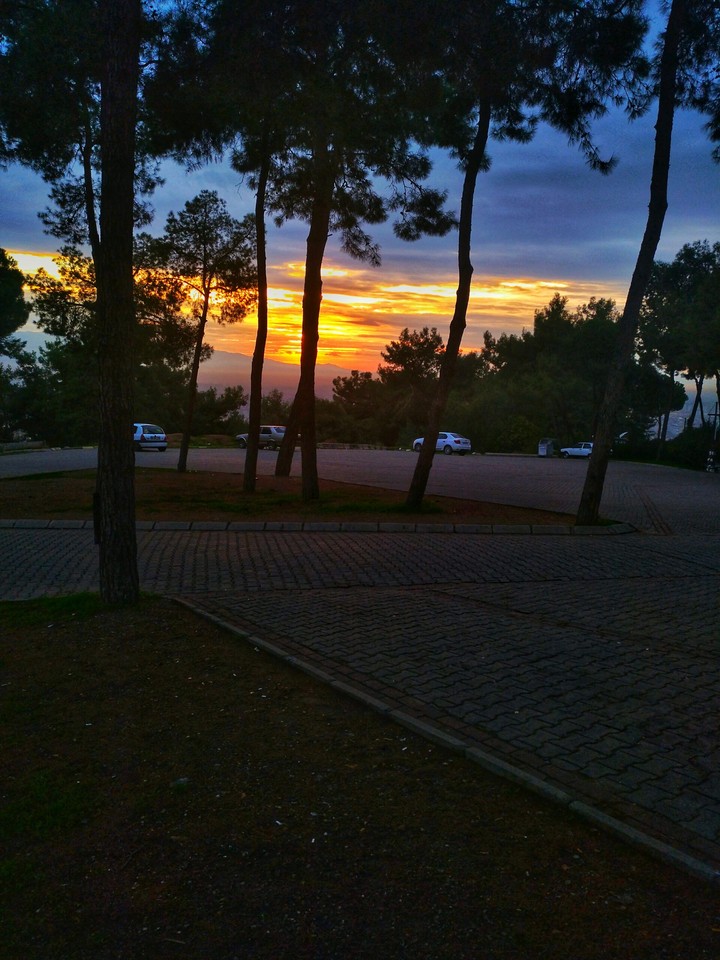 viewpoints ©