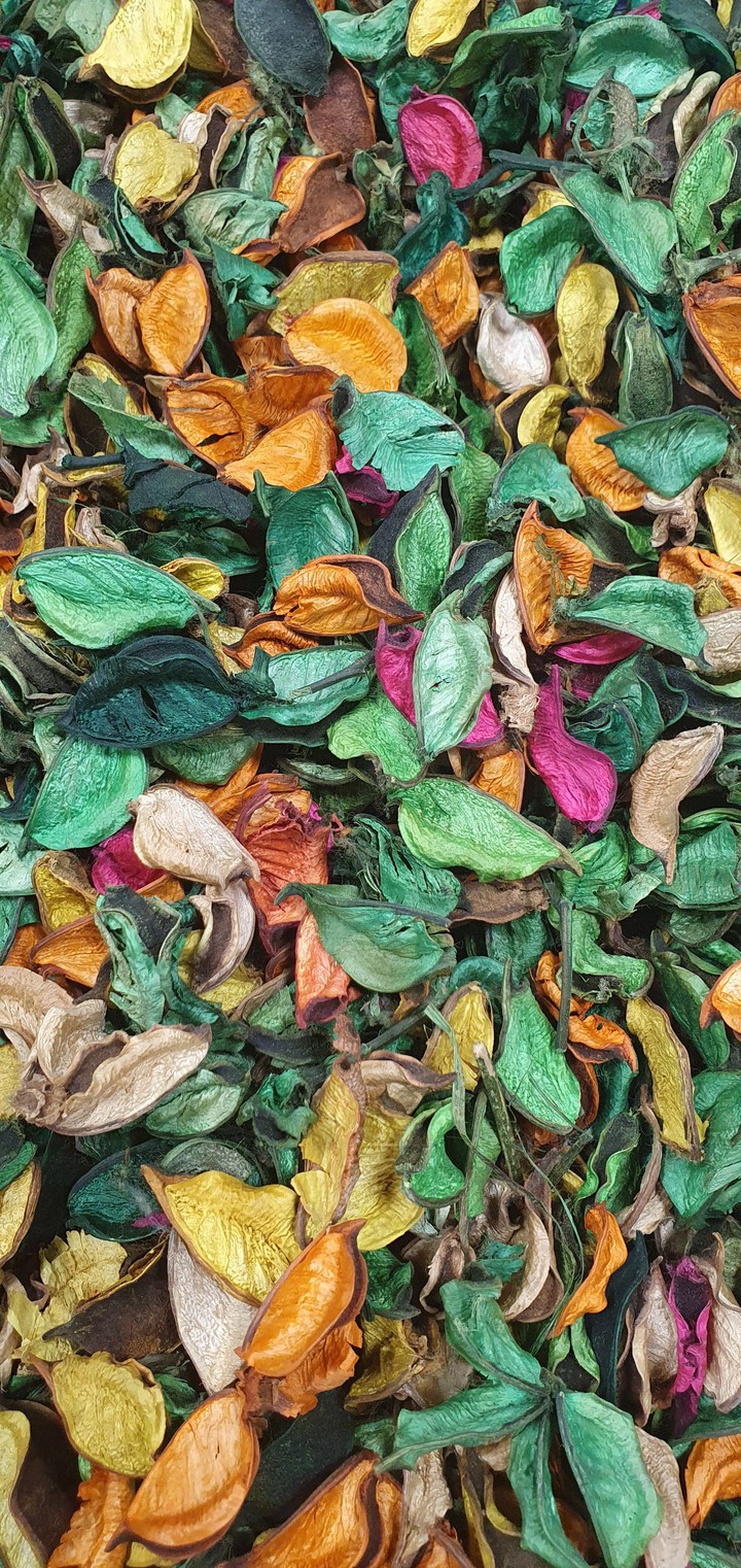 Dried flower Green
