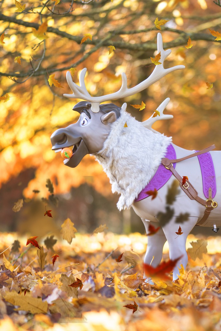 HAPPY SVEN