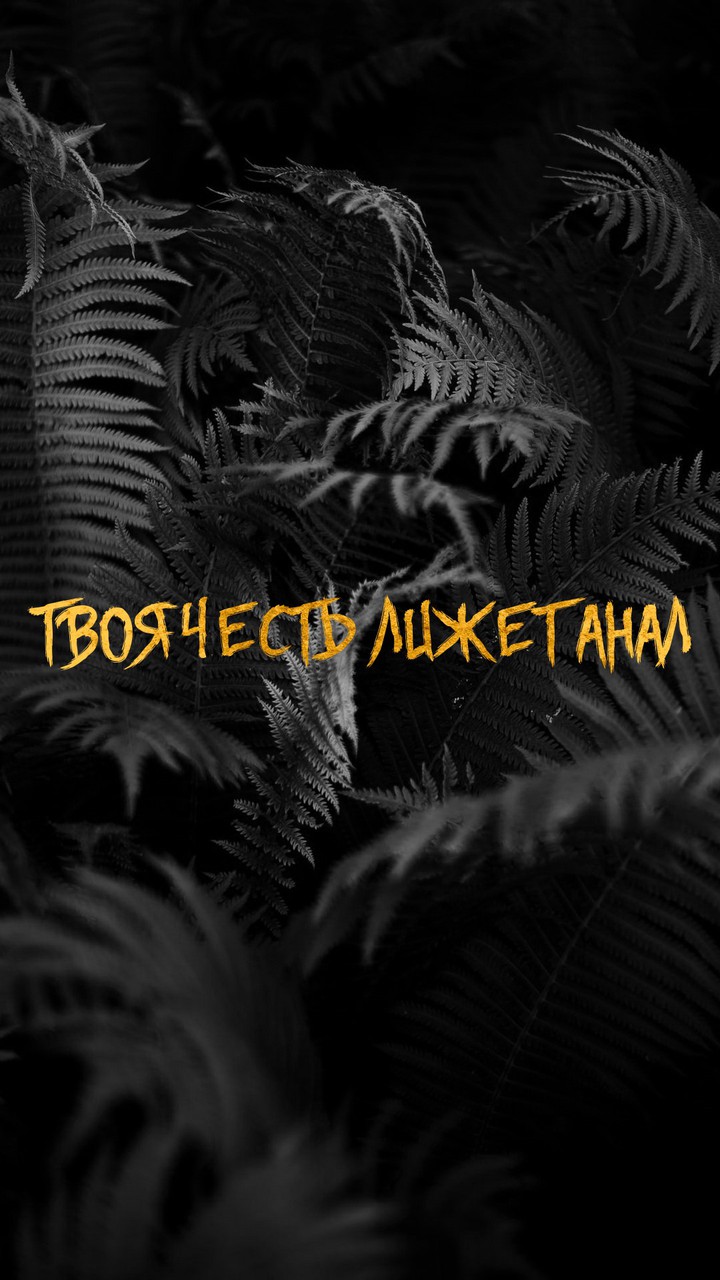 честь