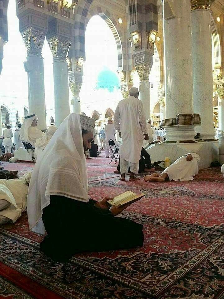 saqib shami HH reciting quran in madine