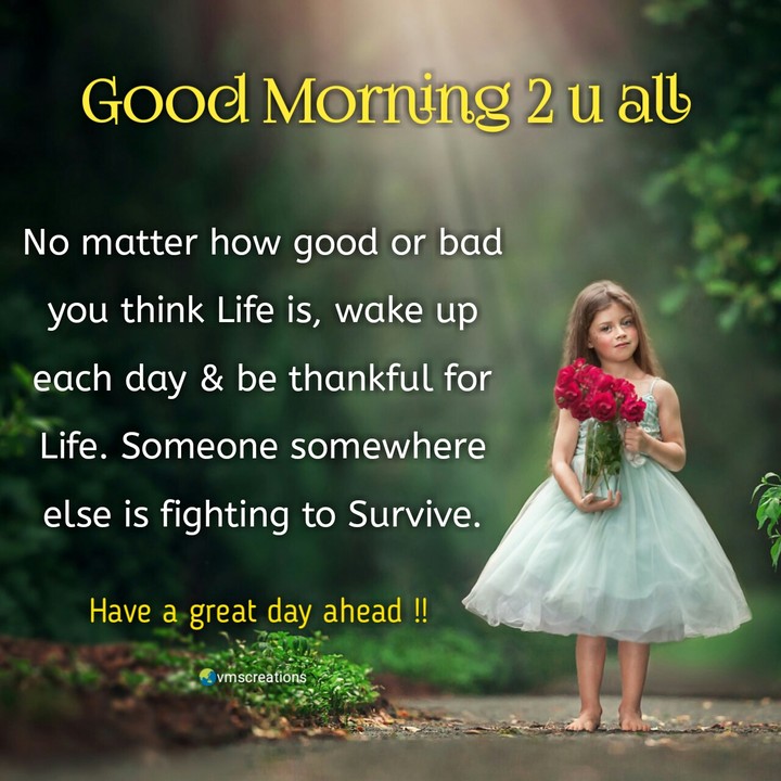 good morning