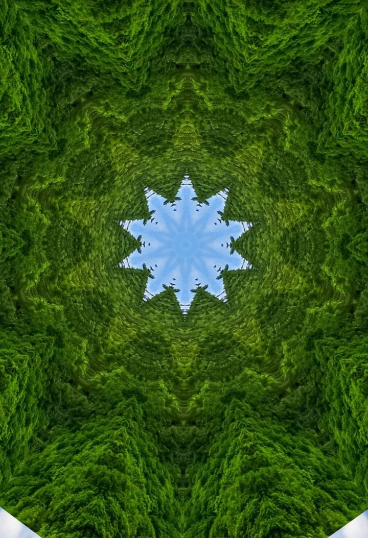 мандала