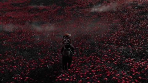 Field of red - Ghost of Tsushima