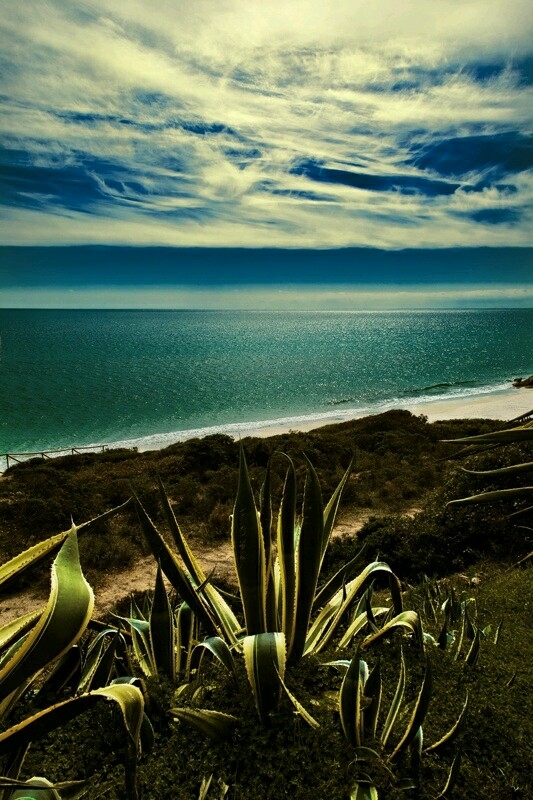 sardegna