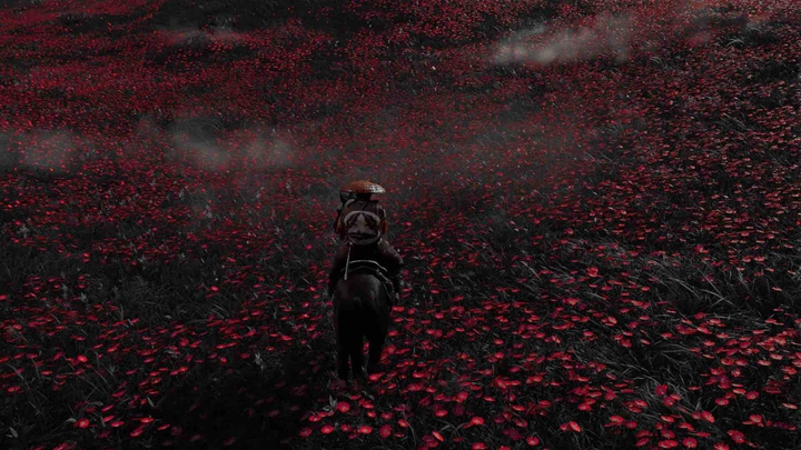Field of red - Ghost of Tsushima