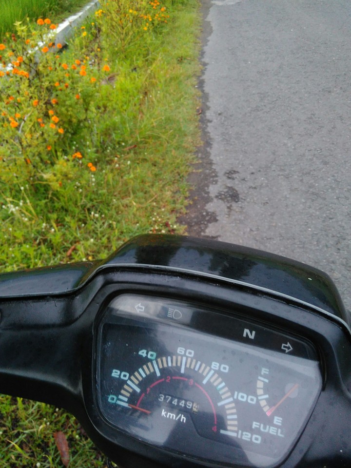 brum brum