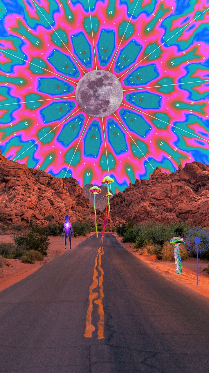Area 51
