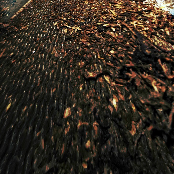 Dark winrer