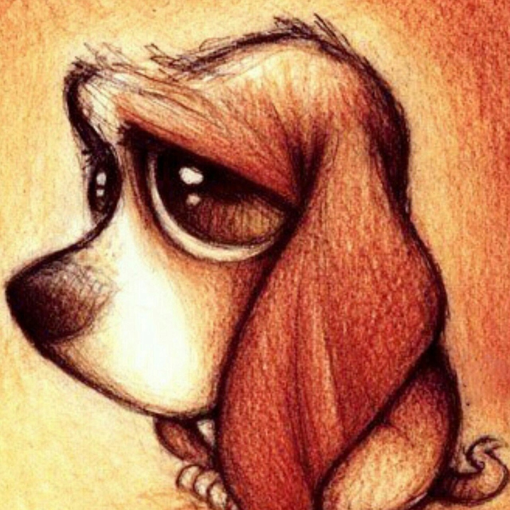 cute dog