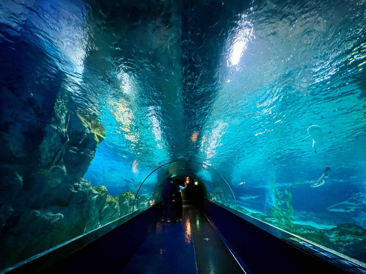 The Aquarium Tunnel