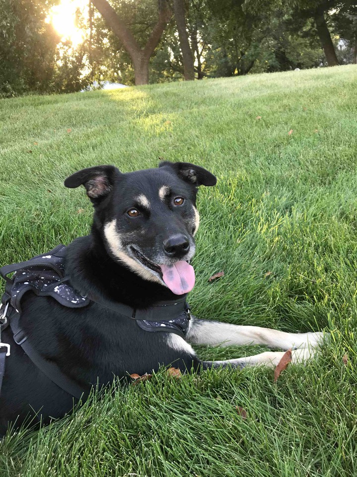 Handsome Max