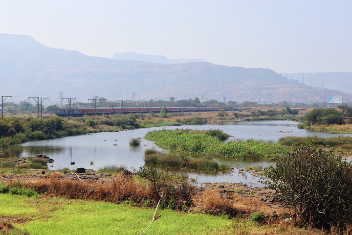 landscape