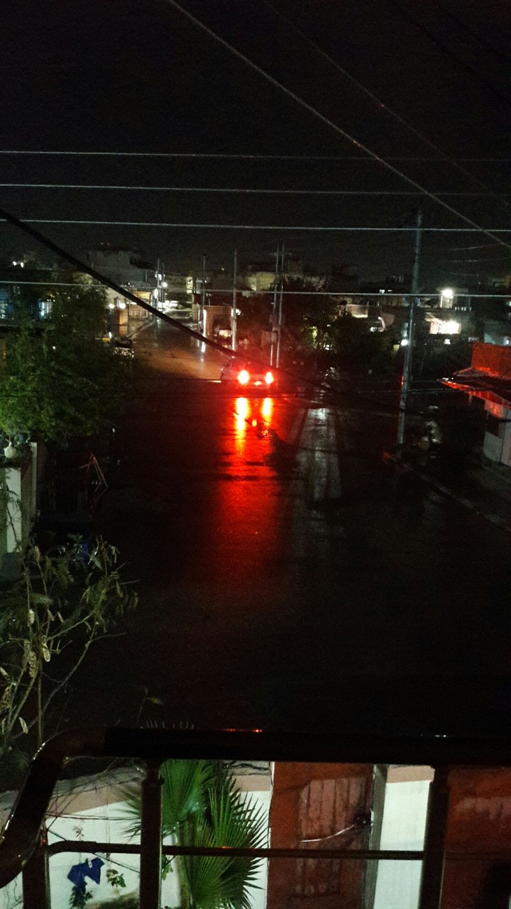 spring raining :)