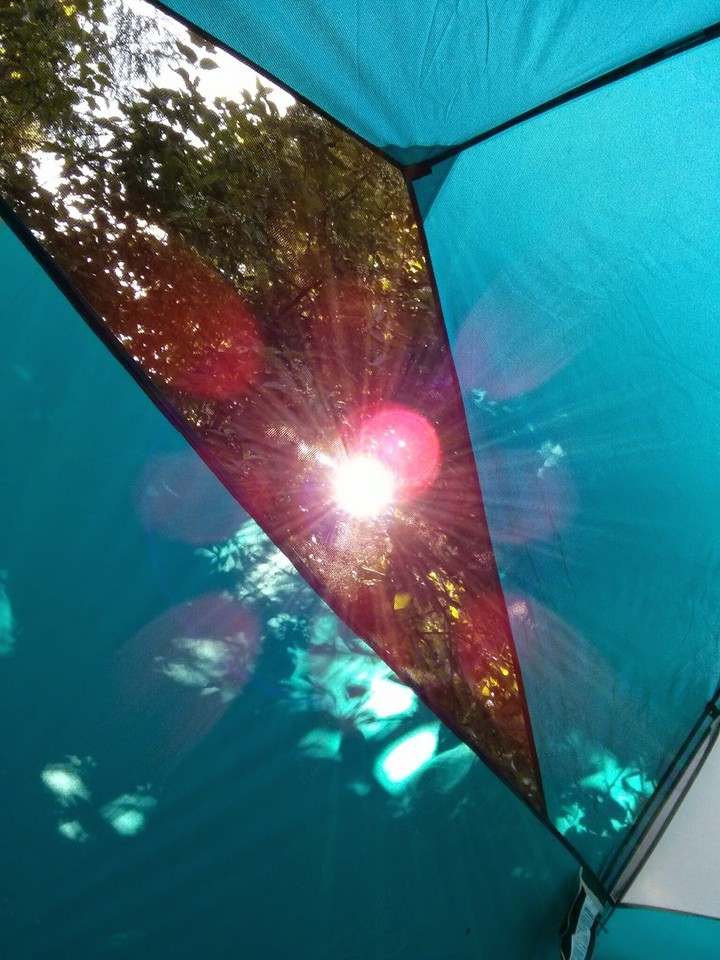 through the tent