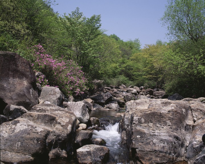 Seasonal Landscape