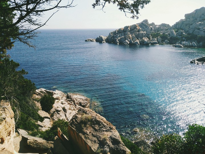 capo testa