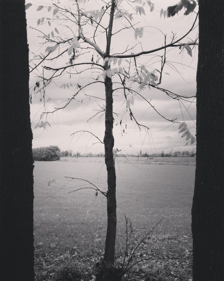 november