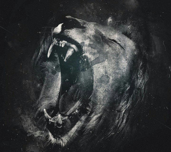 roar