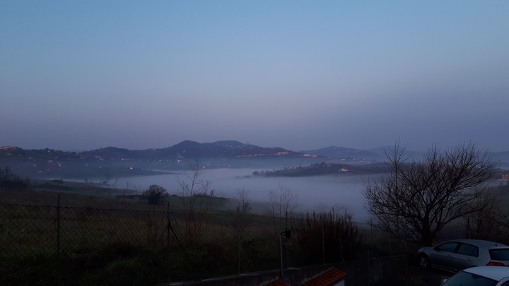 fog