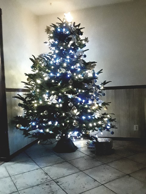 oh Christmas tree
