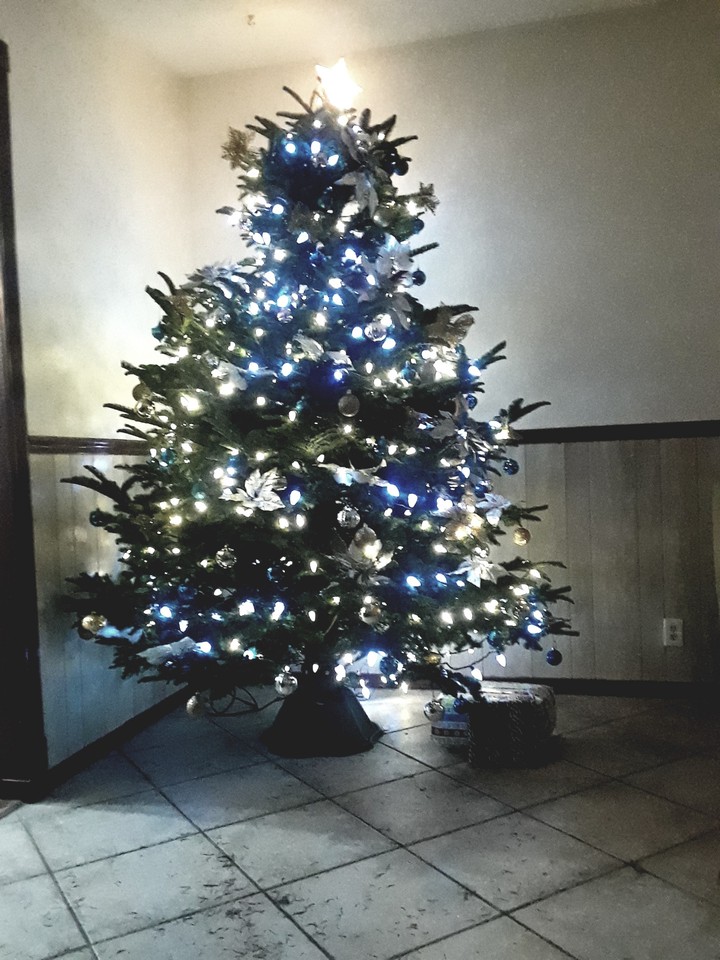 oh Christmas tree