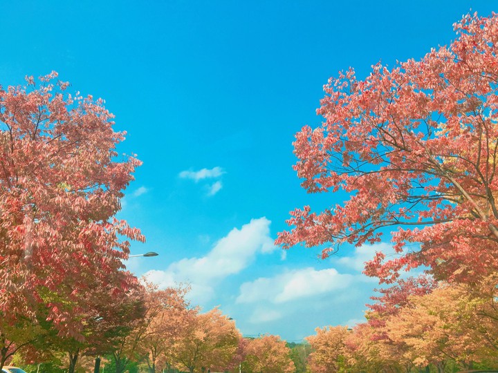 가을에 찍었던 아름다운 풍경