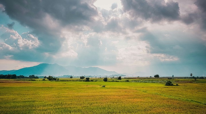 Đất nước Việt Nam