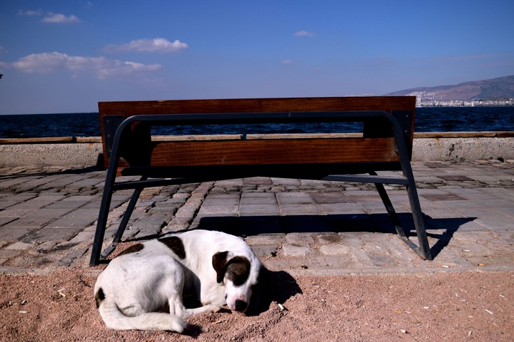 siesta