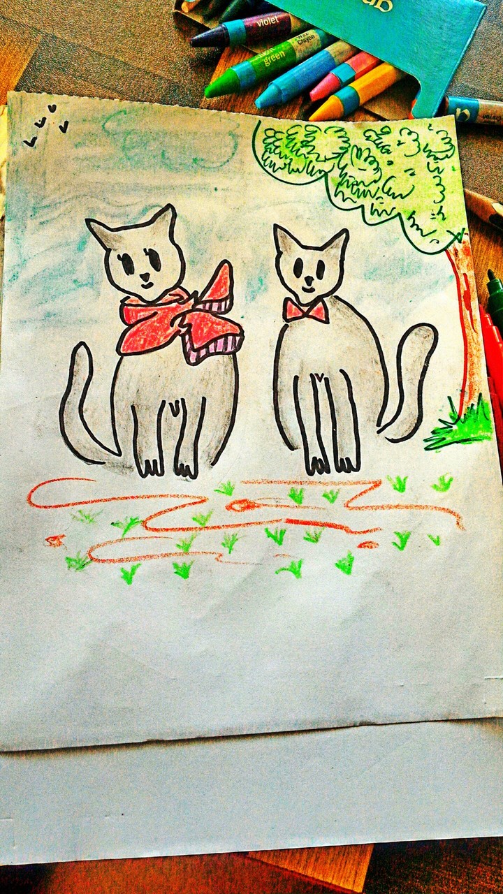 Cat Sketch