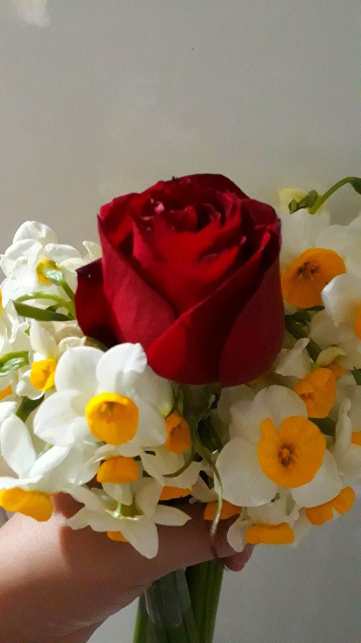 flower
