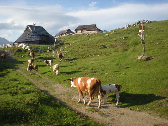 Velika planina in Slovenia