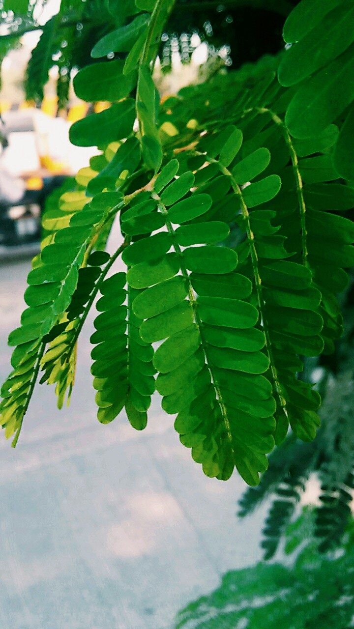Nature